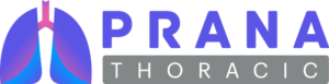Prana Full Color Logo - Block